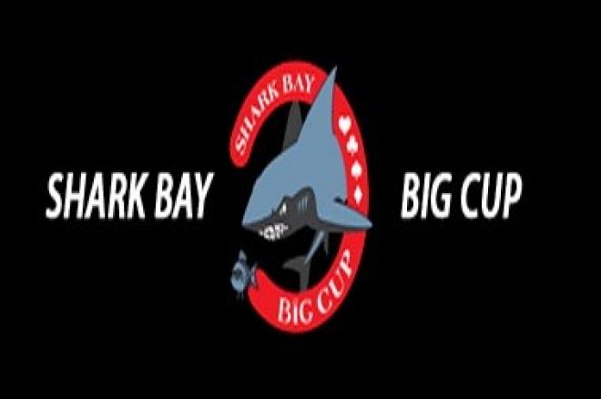 shark bay cup