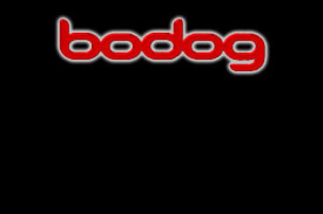 Bodog $500 Freeroll Turnir - nema posebnih uslova za učešće 0001 Bodog $500 Freeroll Turnir - nema posebnih uslova za učešće 0001