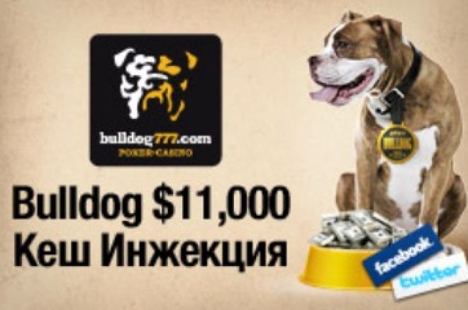Bulldog777 Bulldog777