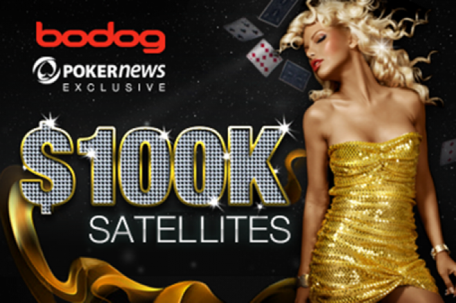 Bodog Bodog