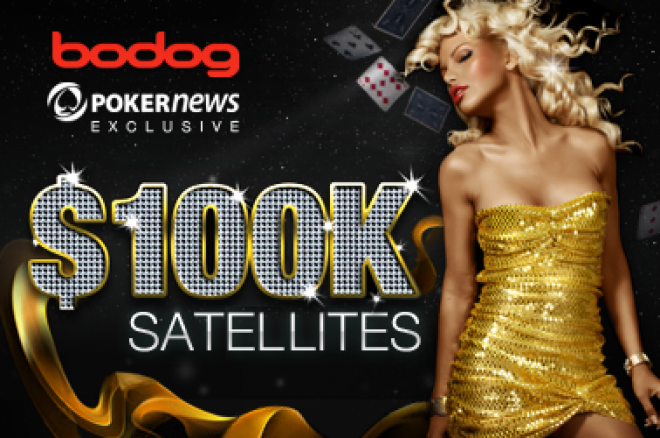 Bodog $100k