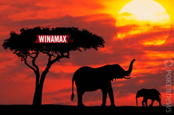 Winamax.fr Sunday Surprise : safari en AfSud !