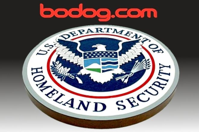 Bodog Bodog