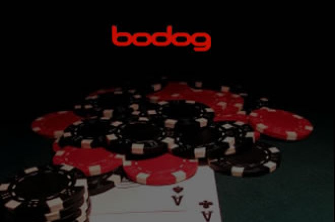 Новости дня: Bodog Poker: ты кто такой? давай, до... 0001 Новости дня: Bodog Poker: ты кто такой? давай, до... 0001