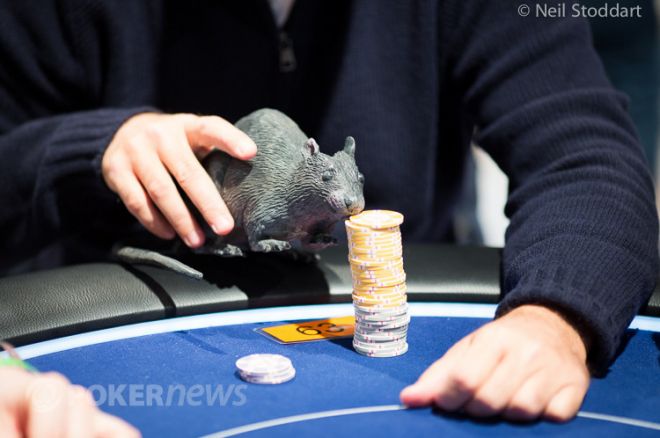 EPT Deauville Dzień 3: Shahaf Hadaya liderem 0001 EPT Deauville Dzień 3: Shahaf Hadaya liderem 0001
