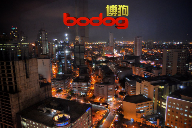 Bodog