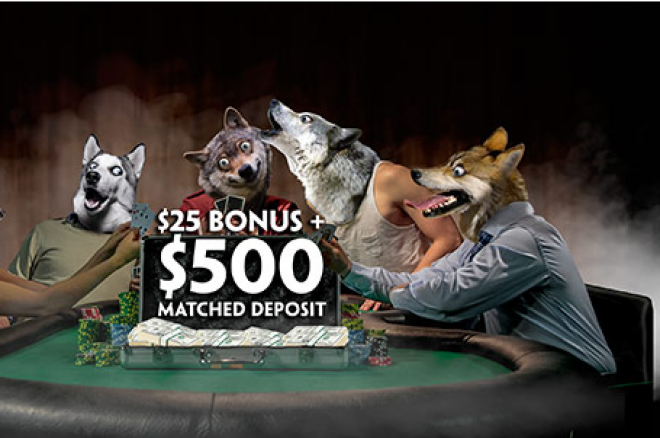 Pelningiausi gegužės mėnesio pasiūlymai: Paddy Power Poker naujoko pakuotė ir... 0001 Pelningiausi gegužės mėnesio pasiūlymai: Paddy Power Poker naujoko pakuotė ir... 0001