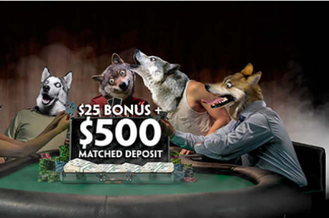 Ar jau atsiėmei 25 dolerių vertės Paddy Power Poker naujoko pakuotę? 0001 Ar jau atsiėmei 25 dolerių vertės Paddy Power Poker naujoko pakuotę? 0001