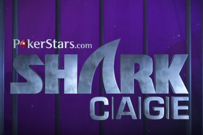 Shark Cage Shark Cage