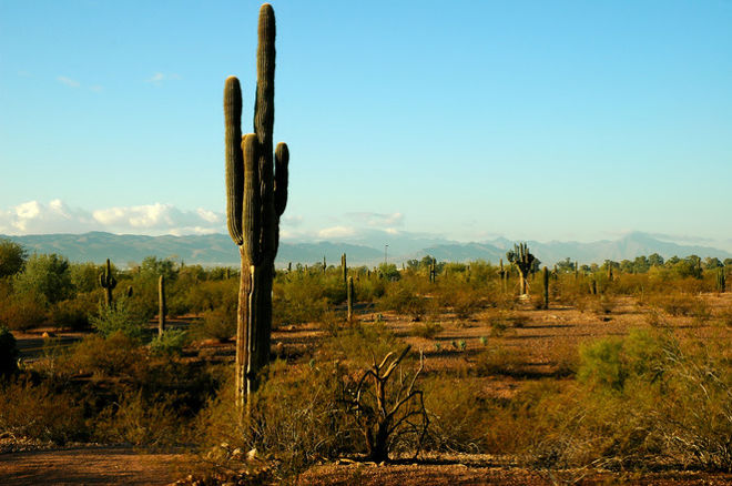 Arizona Poker Raid