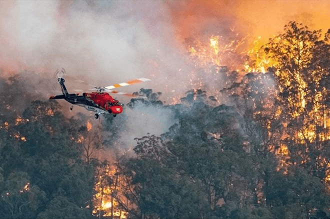 Raising money for Australian bushfires