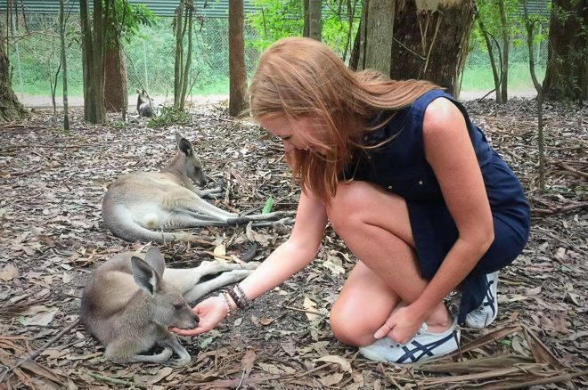 WPT Anchor Lynn Gilmartin's 'Poker Players for Australian Wildlife' initiative has raised almost US$50,000 for charity