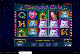 Try your luck at Diamond Cats slot at PlayAmo Casino