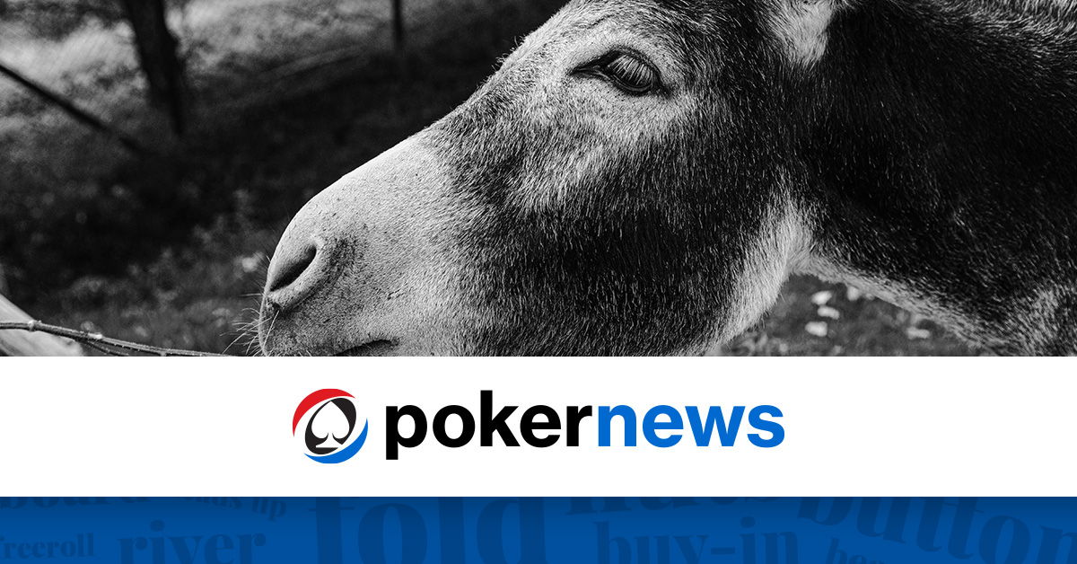 Donkey | Poker Terms | PokerNews