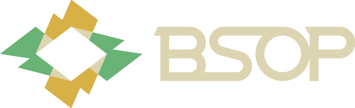 Brazilian Series of Poker Logo