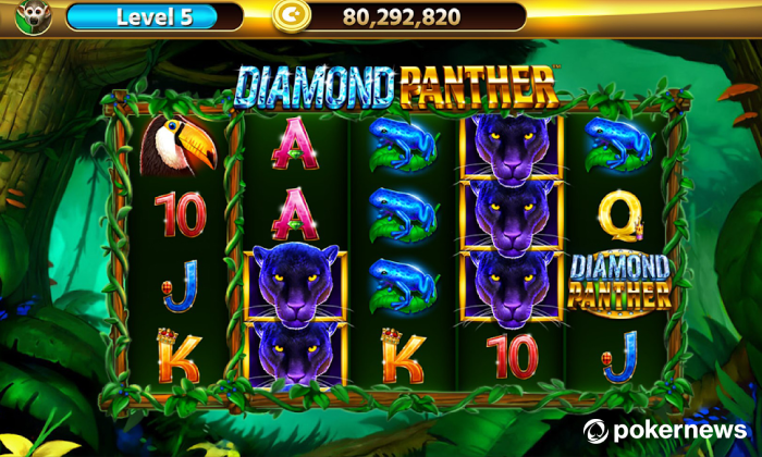 Play Diamond Panther at Chumba Casino