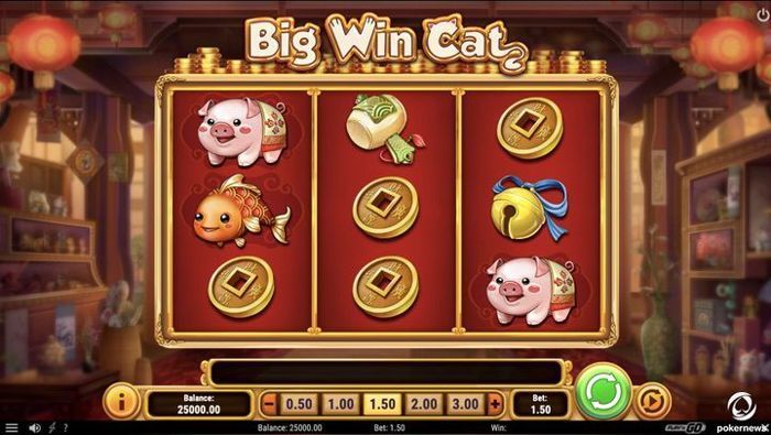 New Play'n GO Slot: Big Win Cat