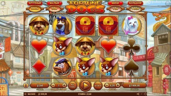 fortune dogs slot game