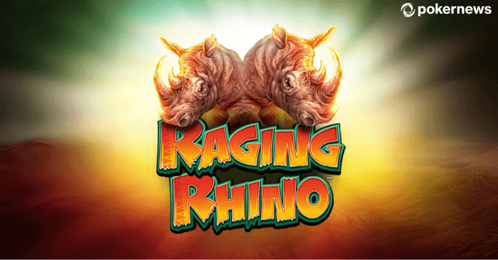 raging rhino lead