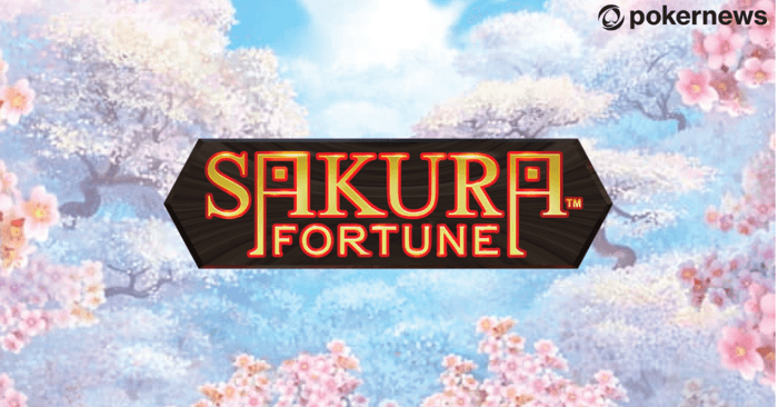 sakura fortune lead