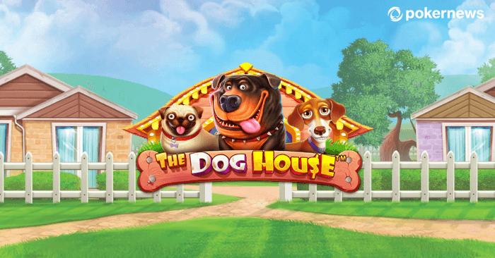 the dog house slot lead