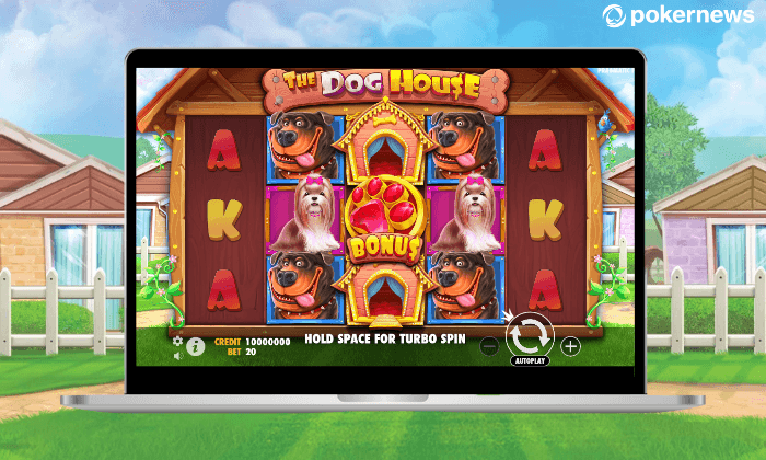 the dog house slot laptop