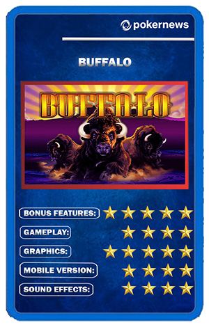 buffalo