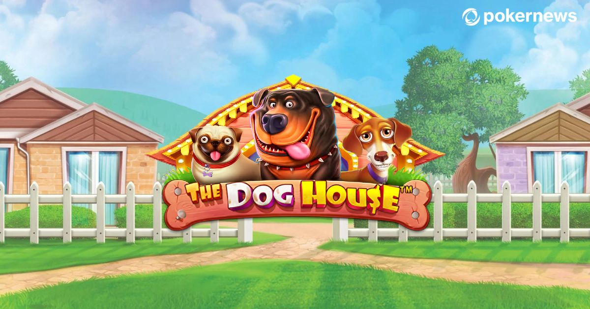 Dog House Bonanza