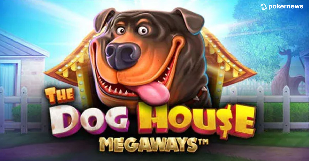 The Dog House Megaways Slot Review | Features, RTP & Payouts | PokerNews